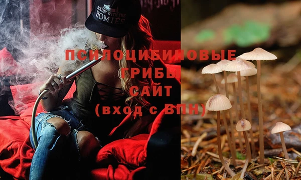 бошки Осташков