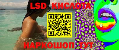 ПСИЛОЦИБИНОВЫЕ ГРИБЫ Гусь-Хрустальный